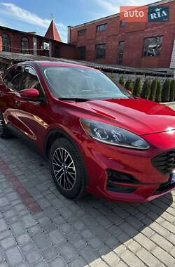 Позашляховик / Кросовер Ford Escape 2020 в Львові