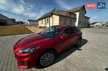 Позашляховик / Кросовер Ford Escape 2020 в Львові