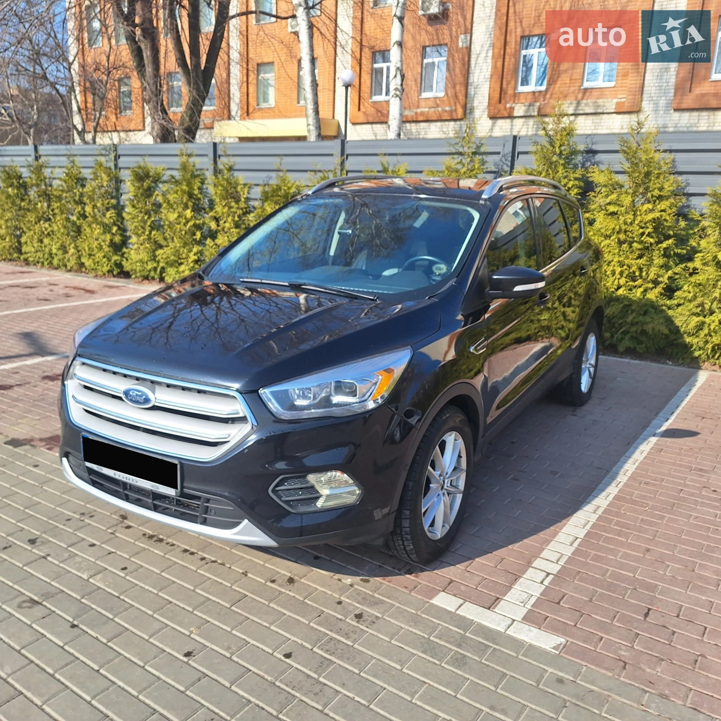 2019 Ford Escape - мініатюра 3