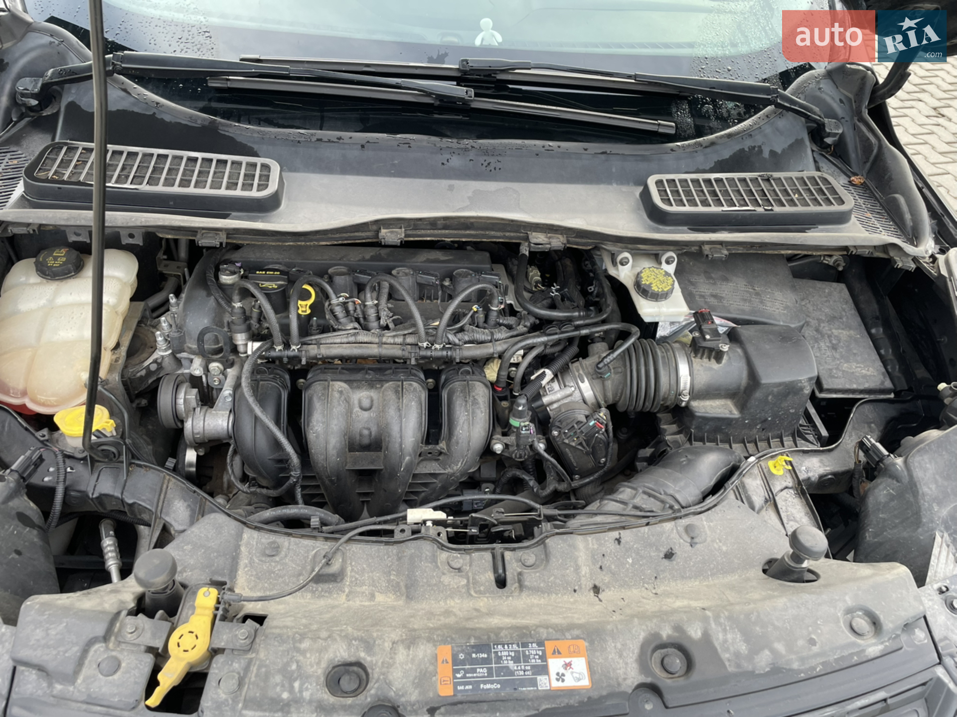 2014 Ford Escape - мініатюра 15