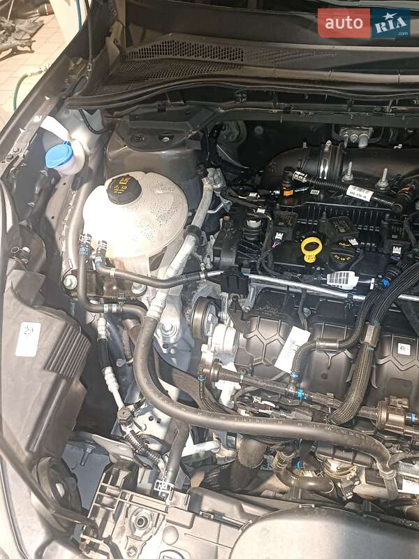 Внедорожник / Кроссовер Ford Escape 2021 в Киеве