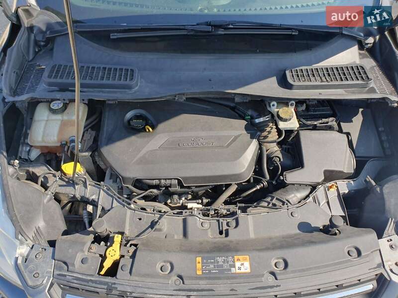Внедорожник / Кроссовер Ford Escape 2014 в Шумске фото 19 Внедорожник / Кроссовер Ford Escape 2014 в Шумске