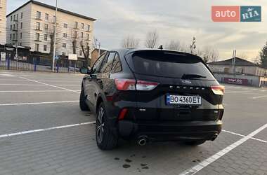 Внедорожник / Кроссовер Ford Escape 2021 в 