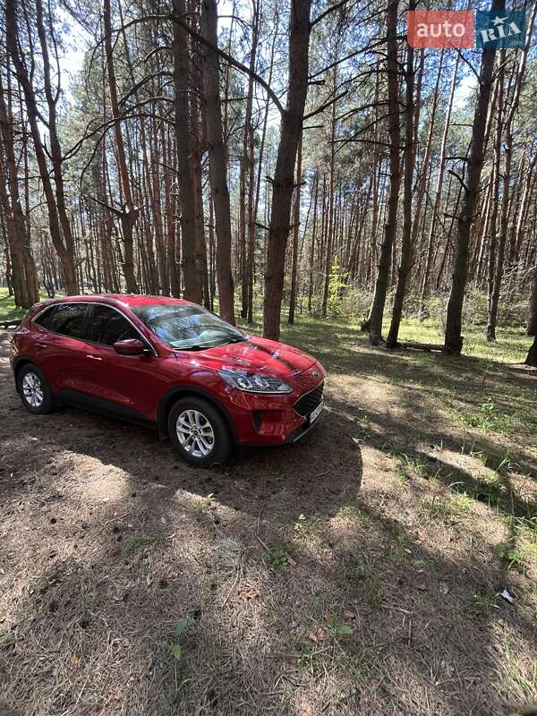 Внедорожник / Кроссовер Ford Escape 2020 в Каменском