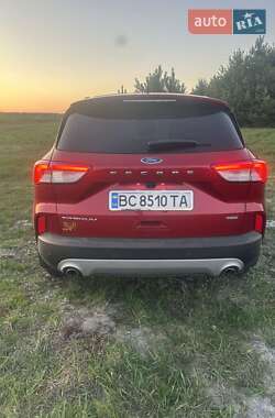 Внедорожник / Кроссовер Ford Escape 2020 в 
