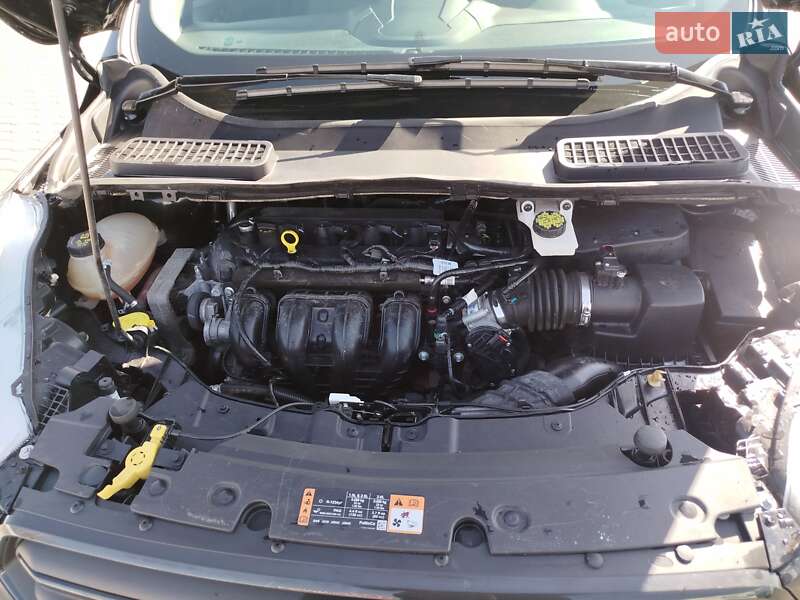 Внедорожник / Кроссовер Ford Escape 2017 в Южном