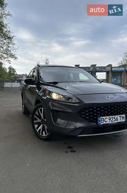 Позашляховик / Кросовер Ford Escape 2020 в Золочеві