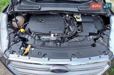 Внедорожник / Кроссовер Ford Escape 2018 в 