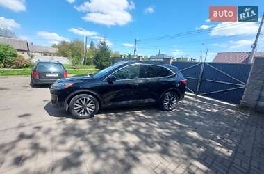 Позашляховик / Кросовер Ford Escape 2019 в 