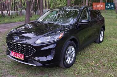 Внедорожник / Кроссовер Ford Escape 2020 в 
