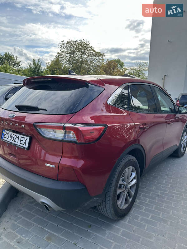 Внедорожник / Кроссовер Ford Escape 2020 в Тернополе