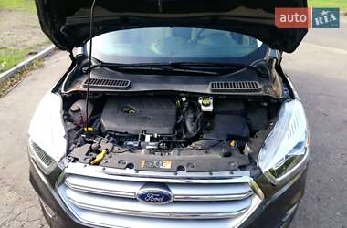 Внедорожник / Кроссовер Ford Escape 2016 в 