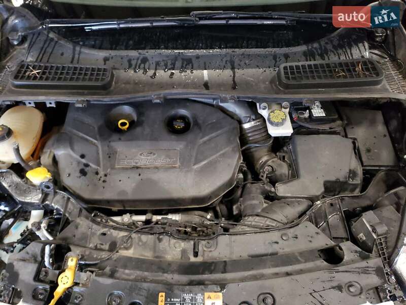 Позашляховик / Кросовер Ford Escape 2018 в Львові
