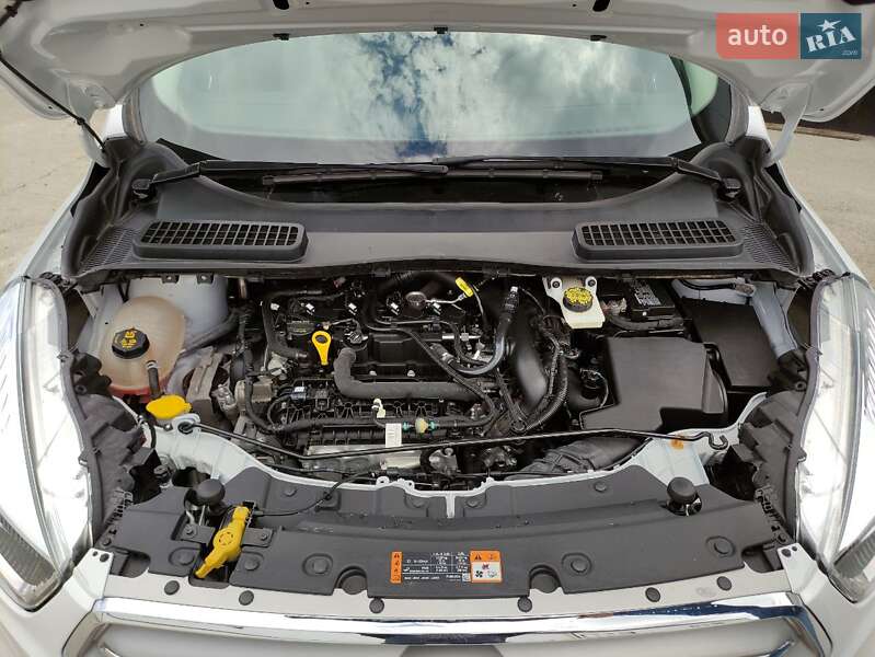 Внедорожник / Кроссовер Ford Escape 2019 в Виннице фото 49 Внедорожник / Кроссовер Ford Escape 2019 в Виннице