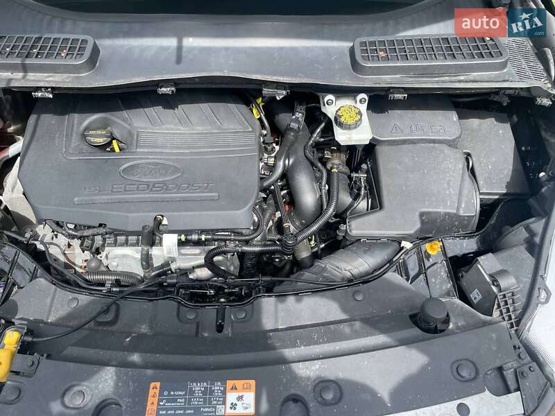 Внедорожник / Кроссовер Ford Escape 2017 в Коломые