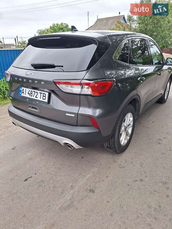 Внедорожник / Кроссовер Ford Escape 2020 в Белой Церкви