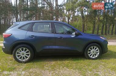 Позашляховик / Кросовер Ford Escape 2020 в Житомирі