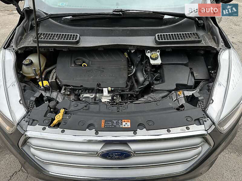 Внедорожник / Кроссовер Ford Escape 2016 в Шполе