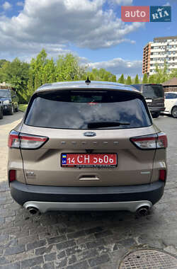 Внедорожник / Кроссовер Ford Escape 2020 в 