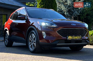 Внедорожник / Кроссовер Ford Escape 2021 в Львове
