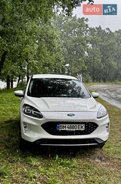 Позашляховик / Кросовер Ford Escape 2020 в Сумах