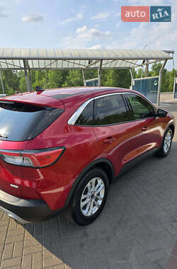 Позашляховик / Кросовер Ford Escape 2020 в 