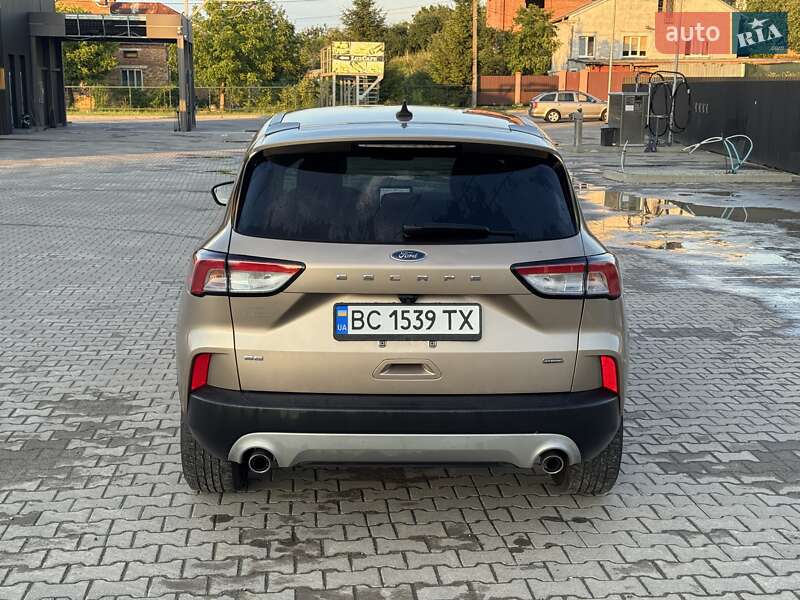 Позашляховик / Кросовер Ford Escape 2020 в Львові