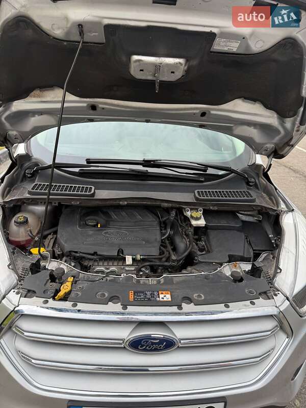 Внедорожник / Кроссовер Ford Escape 2018 в Броварах