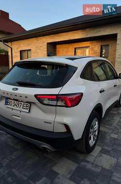 Внедорожник / Кроссовер Ford Escape 2019 в 