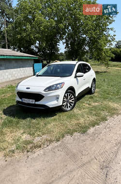 Внедорожник / Кроссовер Ford Escape 2021 в Бердичеве