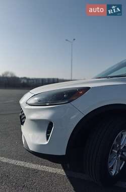 Внедорожник / Кроссовер Ford Escape 2020 в 