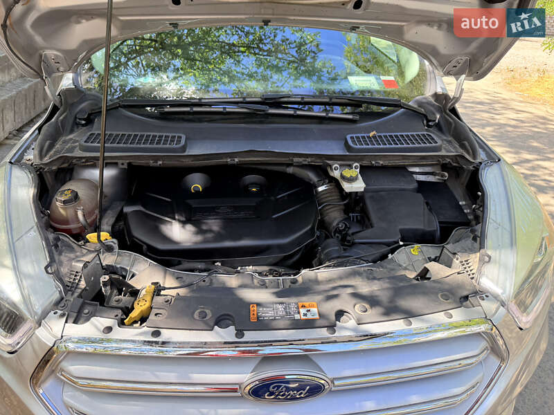 Внедорожник / Кроссовер Ford Escape 2017 в Днепре фото 16 Внедорожник / Кроссовер Ford Escape 2017 в Днепре
