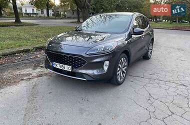 Внедорожник / Кроссовер Ford Escape 2020 в 