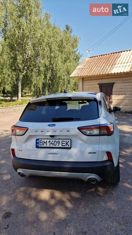 Внедорожник / Кроссовер Ford Escape 2021 в Сумах фото 4 Внедорожник / Кроссовер Ford Escape 2021 в Сумах
