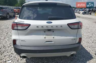 Внедорожник / Кроссовер Ford Escape 2020 в 