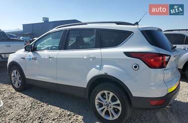 Внедорожник / Кроссовер Ford Escape 2019 в 