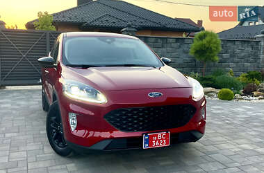 Внедорожник / Кроссовер Ford Escape 2020 в Ровно