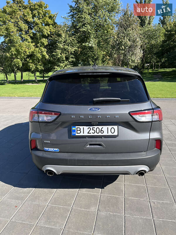Внедорожник / Кроссовер Ford Escape 2022 в Светловодске