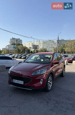 Внедорожник / Кроссовер Ford Escape 2019 в Запорожье