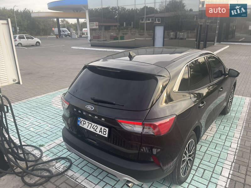 Внедорожник / Кроссовер Ford Escape 2022 в Киеве фото 10 Внедорожник / Кроссовер Ford Escape 2022 в Киеве