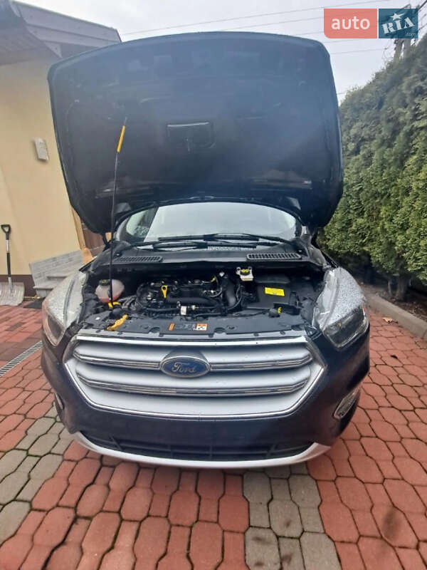 Внедорожник / Кроссовер Ford Escape 2018 в Львове фото 6 Внедорожник / Кроссовер Ford Escape 2018 в Львове
