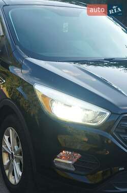 Внедорожник / Кроссовер Ford Escape 2016 в 