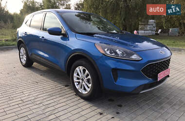 Внедорожник / Кроссовер Ford Escape 2020 в Шептицькому