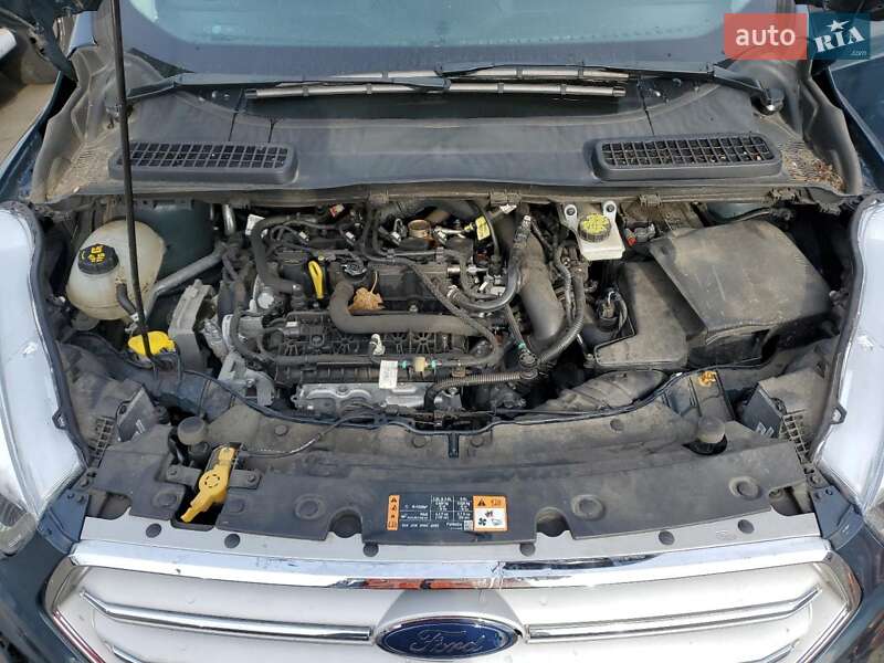 Позашляховик / Кросовер Ford Escape 2019 в Львові