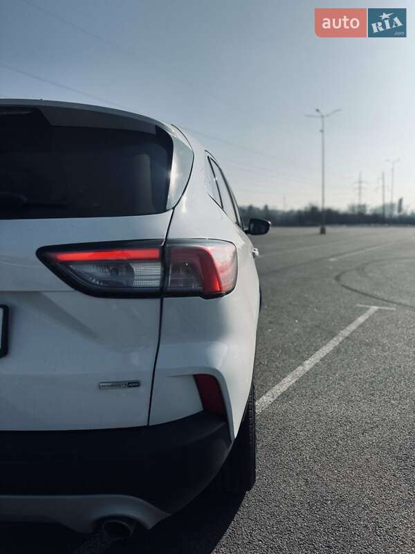 Внедорожник / Кроссовер Ford Escape 2020 в Дубно