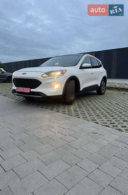 Внедорожник / Кроссовер Ford Escape 2020 в 