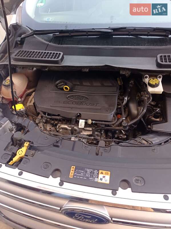 Внедорожник / Кроссовер Ford Escape 2017 в Киеве фото 7 Внедорожник / Кроссовер Ford Escape 2017 в Киеве
