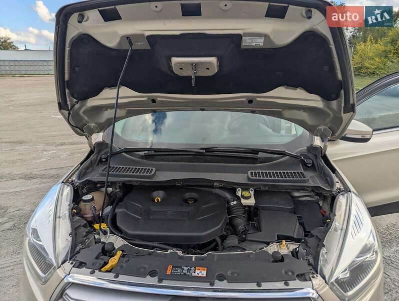 Внедорожник / Кроссовер Ford Escape 2016 в Днепре