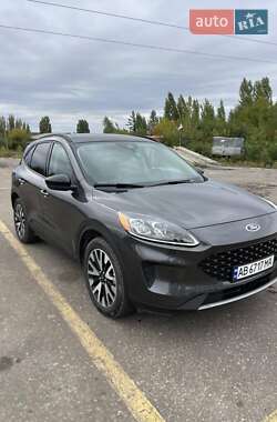 Внедорожник / Кроссовер Ford Escape 2020 в Шаргороде
