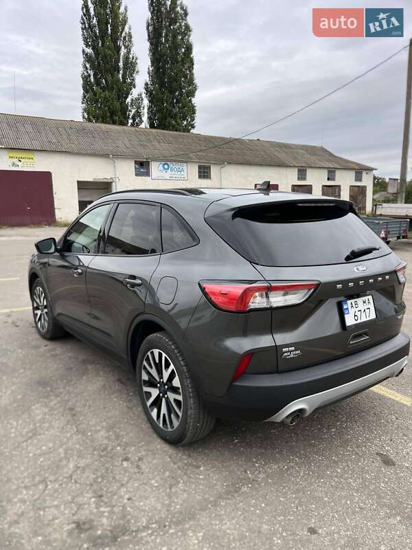 Внедорожник / Кроссовер Ford Escape 2020 в Шаргороде фото 4 Внедорожник / Кроссовер Ford Escape 2020 в Шаргороде